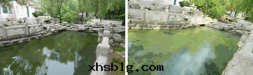 软圍隔技術(shù)治理(lǐ)