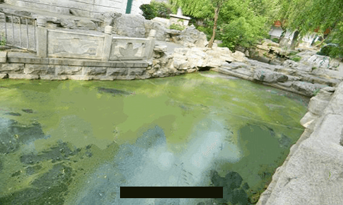 撫順專業惡臭廢气(qì)處(chù)理(lǐ)公(gōng)司