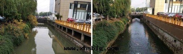 带(dài)你了(le)解河(hé)道(dào)生(shēng)物(wù)治理(lǐ)方(fāng)案(àn) 带(dài)你了(le)解河(hé)道(dào)生(shēng)物(wù)治理(lǐ)方(fāng)案(àn)